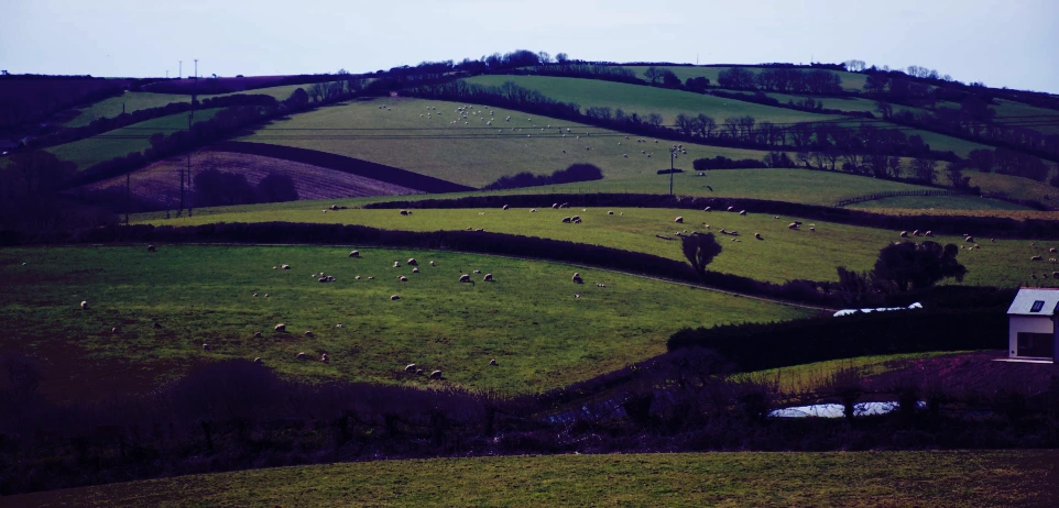 a green field with a house in the middle of it